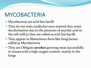 MYCOBACTERIA
 Mycobacteria are acid fast bacilli
 They do not stain readly,but once stained they resist
decolorisation due to the presence of mycolic acid in
the cell wall.so they are called as acid fast bacilli
 They appear in filamentous form like fungi,hence
called as Mycobacteria
 They are Obligate aerobes growing most successfully
in tissues with a high oxygen content, mainly in the
lungs
 