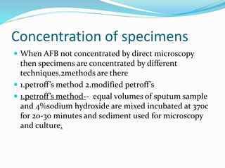 Concentration of specimens
 When AFB not concentrated by direct microscopy
then specimens are concentrated by different
techniques.2methods are there
 1.petroff’s method 2.modified petroff’s
 1.petroff’s method-- equal volumes of sputum sample
and 4%sodium hydroxide are mixed incubated at 370c
for 20-30 minutes and sediment used for microscopy
and culture.
 