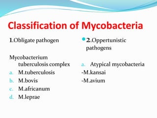 Classification of Mycobacteria
1.Obligate pathogen
Mycobacterium
tuberculosis complex
a. M.tuberculosis
b. M.bovis
c. M.africanum
d. M.leprae
2.Oppertunistic
pathogens
a. Atypical mycobacteria
-M.kansai
-M.avium
 