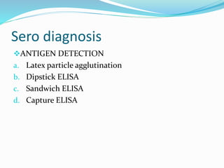 Sero diagnosis
ANTIGEN DETECTION
a. Latex particle agglutination
b. Dipstick ELISA
c. Sandwich ELISA
d. Capture ELISA
 