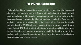 Tuberculosis TB | PPTX