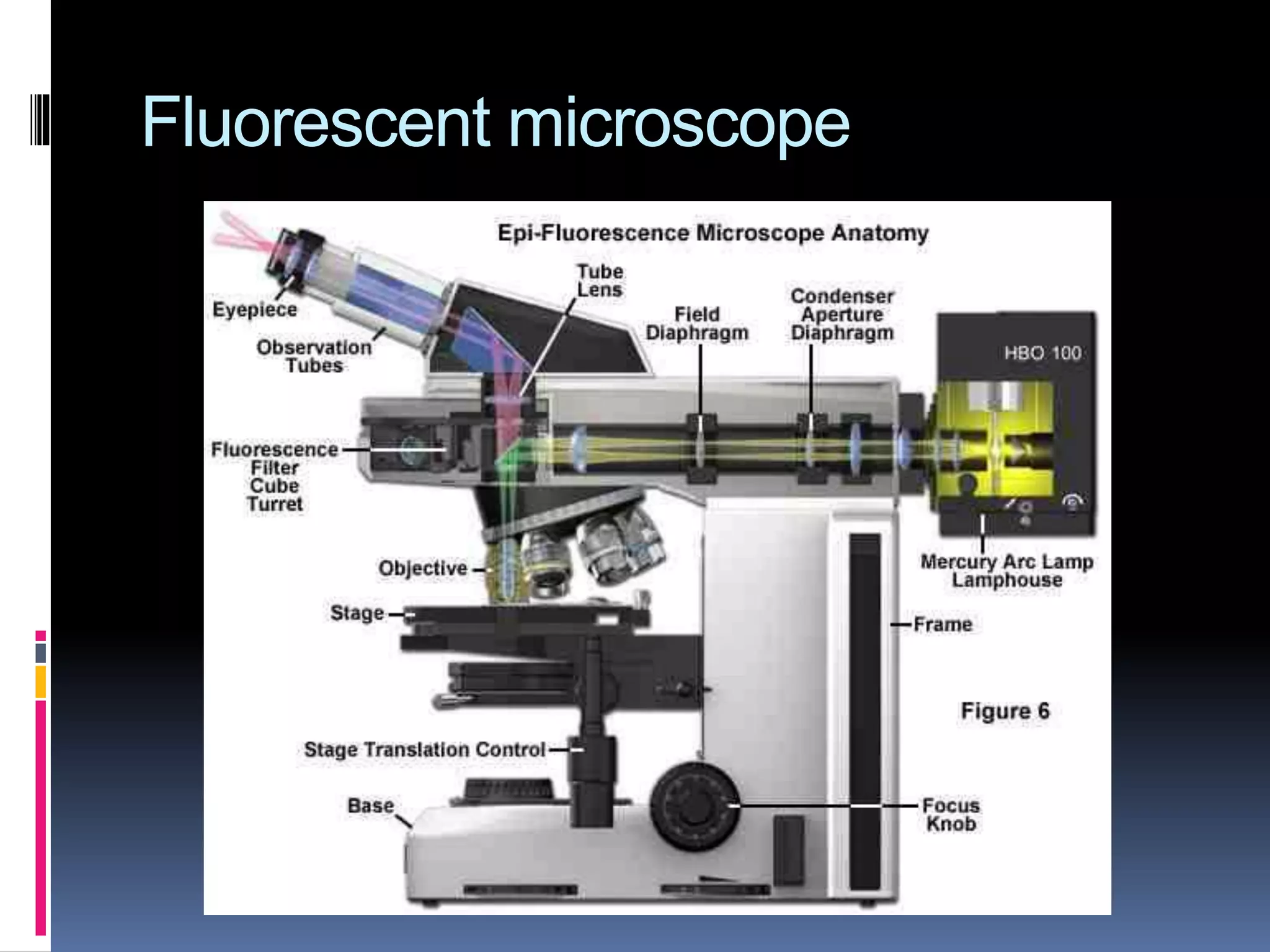 Fluorescent microscope
 