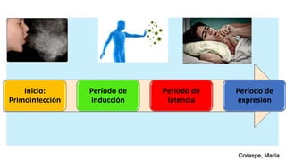 Inicio:
Primoinfección
Período de
inducción
Período de
latencia
Período de
expresión
Coraspe, María
 