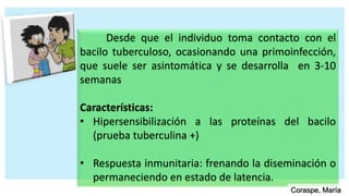 Desde que el individuo toma contacto con el
bacilo tuberculoso, ocasionando una primoinfección,
que suele ser asintomática y se desarrolla en 3-10
semanas
Características:
• Hipersensibilización a las proteínas del bacilo
(prueba tuberculina +)
• Respuesta inmunitaria: frenando la diseminación o
permaneciendo en estado de latencia.
Coraspe, María
 