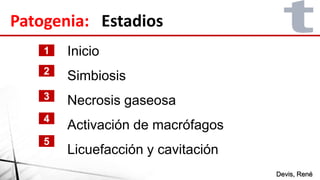 Patogenia: Estadios
Inicio
Simbiosis
Necrosis gaseosa
Activación de macrófagos
Licuefacción y cavitación
1
2
3
4
5
Devis, René
 