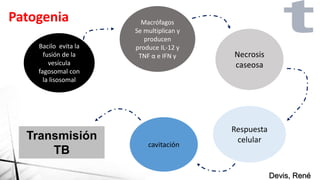 Devis, René
Patogenia
Bacilo evita la
fusión de la
vesícula
fagosomal con
la lisosomal
Macrófagos
Se multiplican y
producen
produce IL-12 y
TNF α e IFN γ Necrosis
caseosa
Respuesta
celular
cavitación
Transmisión
TB
 