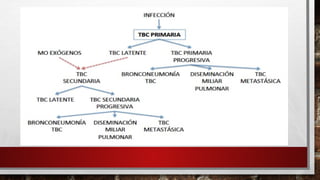 Tuberculosis 2023 Diapositivas basadas en la tuberculosis | PPTX