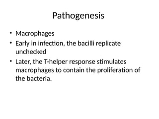 Pathogenesis
• Macrophages
• Early in infection, the bacilli replicate
unchecked
• Later, the T-helper response stimulates
macrophages to contain the proliferation of
the bacteria.
 