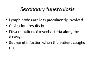 Secondary tuberculosis
• Lymph nodes are less prominently involved
• Cavitation; results in
• Dissemination of mycobacteria along the
airways
• Source of infection when the patient coughs
up
 