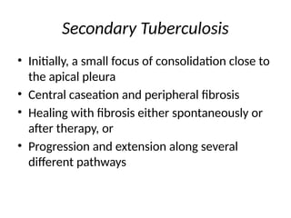 Secondary Tuberculosis
• Initially, a small focus of consolidation close to
the apical pleura
• Central caseation and peripheral fibrosis
• Healing with fibrosis either spontaneously or
after therapy, or
• Progression and extension along several
different pathways
 