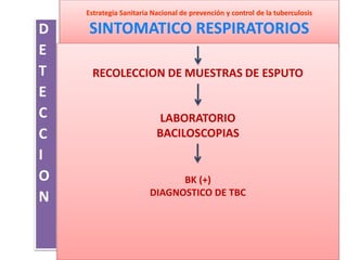 Estrategia Sanitaria Nacional de prevención y control de la tuberculosis
SINTOMATICO RESPIRATORIOSD
E
T
E
C
C
I
O
N
RECOLECCION DE MUESTRAS DE ESPUTO
LABORATORIO
BACILOSCOPIAS
BK (+)
DIAGNOSTICO DE TBC
 