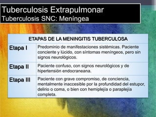 Tuberculosis Extrapulmonar 
Tuberculosis SNC: Meníngea 
ETAPAS DE LA MENINGITIS TUBERCULOSA 
Etapa I Predominio de manifestaciones sistémicas. Paciente 
conciente y lúcido, con síntomas meníngeos, pero sin 
signos neurológicos. 
Etapa II Paciente confuso, con signos neurológicos y de 
hipertensión endocraneana. 
Etapa III Paciente con grave compromiso, de conciencia, 
mentalmente inaccesible por la profundidad del estupor, 
delirio o coma, o bien con hemiplejía o paraplejía 
completa. 
 