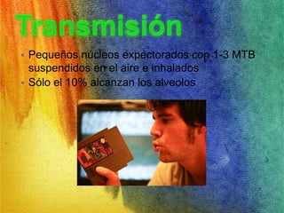 • Pequeños núcleos expectorados con 1-3 MTB 
suspendidos en el aire e inhalados 
• Sólo el 10% alcanzan los alveolos 
 