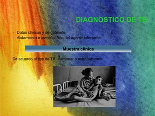 DIAGNOSTICO DE TB 
• Datos clínicos y de gabinete 
• Aislamiento e identificación del agente infectante 
Muestra clínica 
De acuerdo al tipo de TB: pulmonar o extrapulmonar 
 