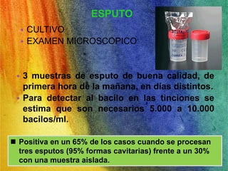 ESPUTO 
• CULTIVO 
• EXAMEN MICROSCOPICO 
• 3 muestras de esputo de buena calidad, de 
primera hora de la mañana, en días distintos. 
• Para detectar al bacilo en las tinciones se 
estima que son necesarios 5.000 a 10.000 
bacilos/ml. 
 Positiva en un 65% de los casos cuando se procesan 
tres esputos (95% formas cavitarias) frente a un 30% 
con una muestra aislada. 
 