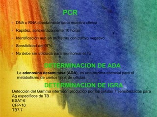 PCR 
• DNA o RNA directamente de la muestra clínica 
• Rapidez, aproximadamente 10 horas 
• Identificación aun en muestras con cultivo negativo 
• Sensibilidad del 97% 
• No debe ser utilizada para monitorear el Tx 
DETERMINACION DE ADA 
La adenosina desaminasa (ADA), es una enzima esencial para el 
metabolismo de ciertos tipos de células 
DETERMINACION DE IGRA 
Detección del Gamma interferon producido por las células T sensibilizadas para 
Ag específicos de TB 
ESAT-6 
CFP-10 
TB7.7 
 