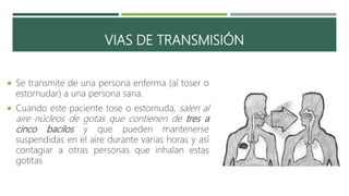 VIAS DE TRANSMISIÓN
 Se transmite de una persona enferma (al toser o
estornudar) a una persona sana.
 Cuando este paciente tose o estornuda, salen al
aire núcleos de gotas que contienen de tres a
cinco bacilos y que pueden mantenerse
suspendidas en el aire durante varias horas y así
contagiar a otras personas que inhalan estas
gotitas
 