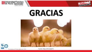 GRACIAS
Fuente: https://n9.cl/qb27n
 