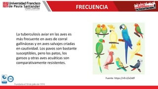 FRECUENCIA
La tuberculosis aviar en las aves es
más frecuente en aves de corral
gallináceas y en aves salvajes criadas
en cautividad. Los pavos son bastante
susceptibles, pero los patos, los
gansos y otras aves acuáticas son
comparativamente resistentes.
Fuente: https://n9.cl/e2x0f
 