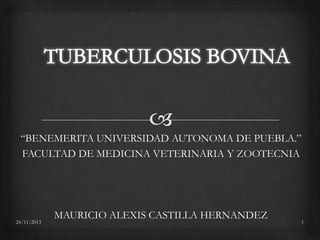 “BENEMERITA UNIVERSIDAD AUTONOMA DE PUEBLA.”
FACULTAD DE MEDICINA VETERINARIA Y ZOOTECNIA

24/11/2013

MAURICIO ALEXIS CASTILLA HERNANDEZ

1

 