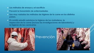 

Los métodos de ensayo y el sacrificio



Prevenir la transmisión de enfermedades



Son muy variados los métodos de higiene de la carne en los distintos
países.



El comité estudió asimismo la higiene de los mataderos, la
inspección de la carne (incluso las investigaciones de laboratorio) y
la higiene de las carnicerías

Prevención

 