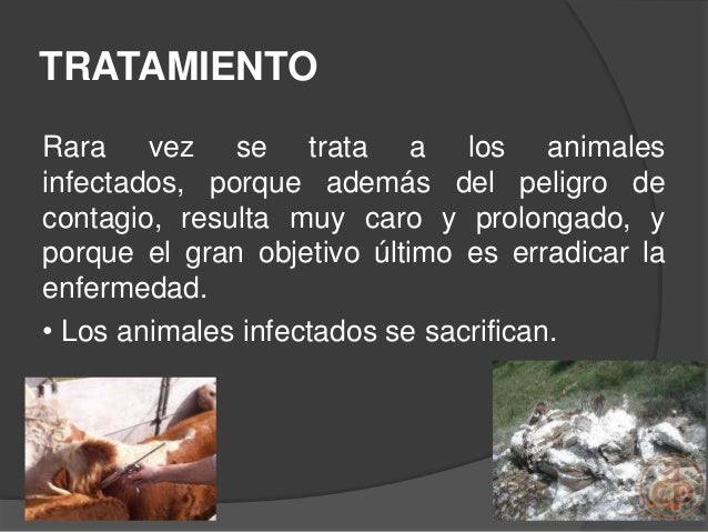 Que es posible comprar la medicina contra el alcoholismo