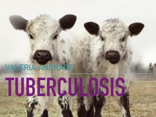 TUBERCULOSIS
VALERIA ANDRADE
 