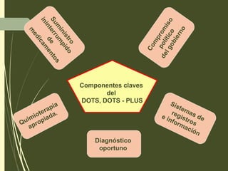 Componentes claves
del
DOTS, DOTS - PLUS
Quimioterapia
apropiada.
Sum
inistro
ininterrum
pido
de
m
edicam
entos
Com
prom
iso
político
delgobierno
Diagnóstico
oportuno
Sistemas de
registros
e información
 