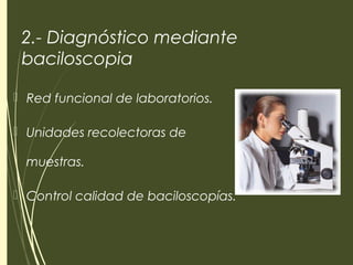 2.- Diagnóstico mediante
baciloscopia
 Red funcional de laboratorios.
 Unidades recolectoras de
muestras.
 Control calidad de baciloscopías.
 