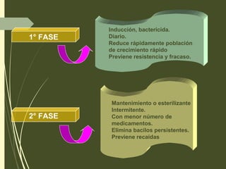 Inducción, bactericida.
Diario.
Reduce rápidamente población
de crecimiento rápido
Previene resistencia y fracaso.
1° FASE
2° FASE
Mantenimiento o esterilizante
Intermitente.
Con menor número de
medicamentos.
Elimina bacilos persistentes.
Previene recaídas
 