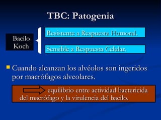 TBC: Patogenia
               Resistente a Respuesta Humoral.
    Bacilo
    Koch       Sensible a Respuesta Celular.

   Cuando alcanzan los alvéolos son ingeridos
    por macrófagos alveolares.
               equilibrio entre actividad bactericida
      del macrófago y la virulencia del bacilo.
 