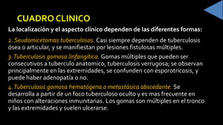 CUADRO CLINICO
La localización y el aspecto clínico dependen de las diferentes formas:
2. Seudomicetomas tuberculosos. Casi siempre dependen de tuberculosis
ósea o articular, y se manifiestan por lesiones fistulosas múltiples.
3.Tuberculosis gomosa linfangítica. Gomas múltiples que pueden ser
consecutivos a tuberculo anatomico, tuberculosis verrugosa; se observan
principalmente en las extremidades, se confunden con esporotricosis, y
puede haber adenopatía o no.
4.Tuberculosis gomosa hematógena o metastásica abscedante. Se
desarrolla a partir de un foco tuberculoso oculto y es mas frecuente en
niños con alteraciones inmunitarias. Los gomas son múltiples en el tronco
y las extremidades y suelen ulcerarse.
 