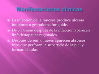    La infección de la mucosa produce ulceras
    indoloras o granuloma fungoide.
   De 3 a 8 sem después de la infección aparecen
    linfadenopatias regionales
   Después de sem o meses aparecen abscesos
    fríos que perforan la superficie de la piel y
    forman fistulas
 