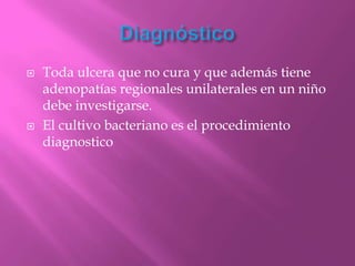    Toda ulcera que no cura y que además tiene
    adenopatías regionales unilaterales en un niño
    debe investigarse.
   El cultivo bacteriano es el procedimiento
    diagnostico
 