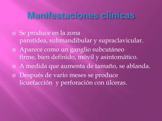    Se produce en la zona
    parotídea, submandibular y supraclavicular.
   Aparece como un ganglio subcutáneo
    firme, bien definido, móvil y asintomático.
   A medida que aumenta de tamaño, se ablanda.
   Después de vario meses se produce
    licuefacción y perforación con úlceras.
 