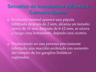    Evolución normal aparece una pápula
    infiltrada después de 2 sem, alcanza un tamaño
    aprox de 10 mm después de 6-12 sem, se ulcera
    y luego cura lentamente, dejando una cicatriz.

   Produciendo en una persona previamente
    infectada, una reacción acelerada con aumento
    del tamaño de los ganglios linfáticos
    regionales.
 