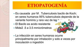 ETIOPATOGENÍA 
 Es causada por M . Tuberculosis bacilo de Koch; 
en seres humanos 95% tuberculosis depende de la 
variante hominis y rara vez de las bobis 
 El Bacilo es acido resistente 
 Mide2 .5 a 3.5 mmicrómetros 
 La infección en seres humanos ocurre 
principalmente por inhalación y solo a veces por 
inoculación o ingestión 
 