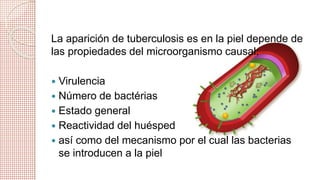 La aparición de tuberculosis es en la piel depende de 
las propiedades del microorganismo causal: 
 Virulencia 
 Número de bactérias 
 Estado general 
 Reactividad del huésped 
 así como del mecanismo por el cual las bacterias 
se introducen a la piel 
 