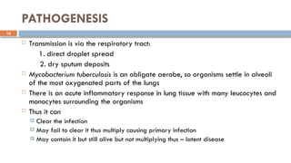 10
PATHOGENESIS
 Transmission is via the respiratory tract:
1. direct droplet spread
2. dry sputum deposits
 Mycobacterium tuberculosis is an obligate aerobe, so organisms settle in alveoli
of the most oxygenated parts of the lungs
 There is an acute inflammatory response in lung tissue with many leucocytes and
monocytes surrounding the organisms
 Thus it can
 Clear the infection
 May fail to clear it thus multiply causing primary infection
 May contain it but still alive but not multiplying thus – latent disease
 