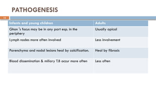 12
PATHOGENESIS
Infants and young children Adults
Ghon 's focus may be in any part esp. in the
periphery
Usually apical
Lymph nodes more often involved Less involvement
Parenchyma and nodal lesions heal by calcification. Heal by fibrosis
Blood dissemination & miliary T.B occur more often Less often
 