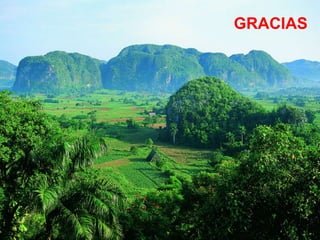 GRACIAS
 
