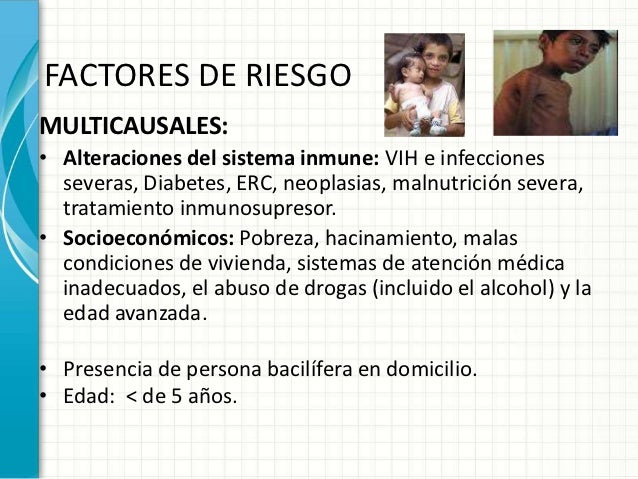 El tratamiento contra el alcoholismo las etapas