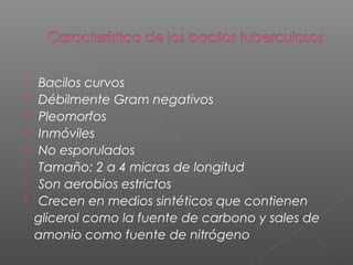  Bacilos curvos
 Débilmente Gram negativos
 Pleomorfos
 Inmóviles
 No esporulados
 Tamaño: 2 a 4 micras de longitud
 Son aerobios estrictos
 Crecen en medios sintéticos que contienen
glicerol como la fuente de carbono y sales de
amonio como fuente de nitrógeno
 