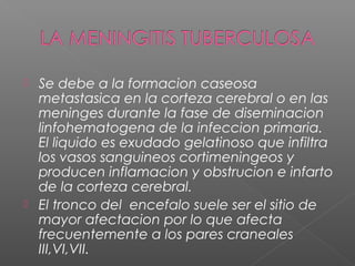  Se debe a la formacion caseosa
metastasica en la corteza cerebral o en las
meninges durante la fase de diseminacion
linfohematogena de la infeccion primaria.
El liquido es exudado gelatinoso que infiltra
los vasos sanguineos cortimeningeos y
producen inflamacion y obstrucion e infarto
de la corteza cerebral.
 El tronco del encefalo suele ser el sitio de
mayor afectacion por lo que afecta
frecuentemente a los pares craneales
III,VI,VII.
 