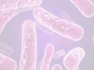 Tuberculosisepidemio