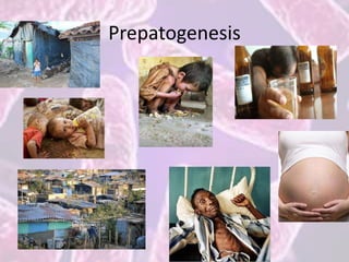Prepatogenesis
 