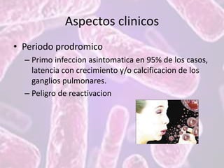 Aspectos clinicos
• Periodo prodromico
– Primo infeccion asintomatica en 95% de los casos,
latencia con crecimiento y/o calcificacion de los
ganglios pulmonares.
– Peligro de reactivacion
 