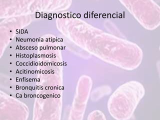 Diagnostico diferencial
• SIDA
• Neumonia atipica
• Absceso pulmonar
• Histoplasmosis
• Coccidioidomicosis
• Acitinomicosis
• Enfisema
• Bronquitis cronica
• Ca broncogenico
 