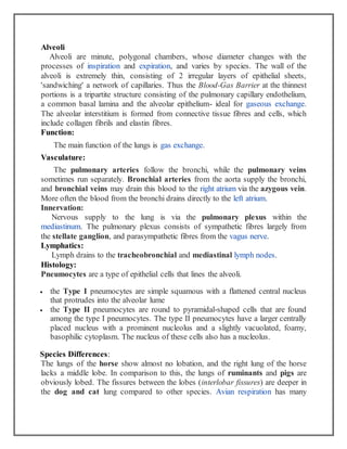 Alveoli
Alveoli are minute, polygonal chambers, whose diameter changes with the
processes of inspiration and expiration, and varies by species. The wall of the
alveoli is extremely thin, consisting of 2 irregular layers of epithelial sheets,
'sandwiching' a network of capillaries. Thus the Blood-Gas Barrier at the thinnest
portions is a tripartite structure consisting of the pulmonary capillary endothelium,
a common basal lamina and the alveolar epithelium- ideal for gaseous exchange.
The alveolar interstitium is formed from connective tissue fibres and cells, which
include collagen fibrils and elastin fibres.
Function:
The main function of the lungs is gas exchange.
Vasculature:
The pulmonary arteries follow the bronchi, while the pulmonary veins
sometimes run separately. Bronchial arteries from the aorta supply the bronchi,
and bronchial veins may drain this blood to the right atrium via the azygous vein.
More often the blood from the bronchi drains directly to the left atrium.
Innervation:
Nervous supply to the lung is via the pulmonary plexus within the
mediastinum. The pulmonary plexus consists of sympathetic fibres largely from
the stellate ganglion, and parasympathetic fibres from the vagus nerve.
Lymphatics:
Lymph drains to the tracheobronchial and mediastinal lymph nodes.
Histology:
Pneumocytes are a type of epithelial cells that lines the alveoli.
 the Type I pneumocytes are simple squamous with a flattened central nucleus
that protrudes into the alveolar lume
 the Type II pneumocytes are round to pyramidal-shaped cells that are found
among the type I pneumocytes. The type II pneumocytes have a larger centrally
placed nucleus with a prominent nucleolus and a slightly vacuolated, foamy,
basophilic cytoplasm. The nucleus of these cells also has a nucleolus.
Species Differences:
The lungs of the horse show almost no lobation, and the right lung of the horse
lacks a middle lobe. In comparison to this, the lungs of ruminants and pigs are
obviously lobed. The fissures between the lobes (interlobar fissures) are deeper in
the dog and cat lung compared to other species. Avian respiration has many
 