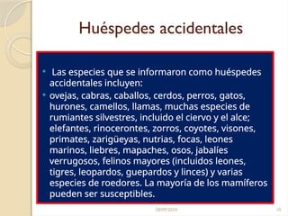 28/09/2024 10
Huéspedes accidentales
 Las especies que se informaron como huéspedes
accidentales incluyen:
 ovejas, cabras, caballos, cerdos, perros, gatos,
hurones, camellos, llamas, muchas especies de
rumiantes silvestres, incluido el ciervo y el alce;
elefantes, rinocerontes, zorros, coyotes, visones,
primates, zarigüeyas, nutrias, focas, leones
marinos, liebres, mapaches, osos, jabalíes
verrugosos, felinos mayores (incluidos leones,
tigres, leopardos, guepardos y linces) y varias
especies de roedores. La mayoría de los mamíferos
pueden ser susceptibles.
 